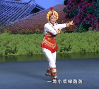 云南省第三届传统戏剧曲艺汇演节目：《巧调解》